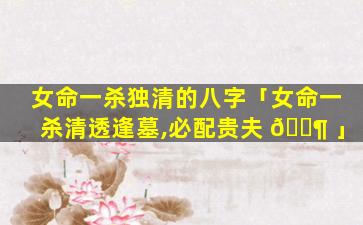 女命一杀独清的八字「女命一杀清透逢墓,必配贵夫 🐶 」